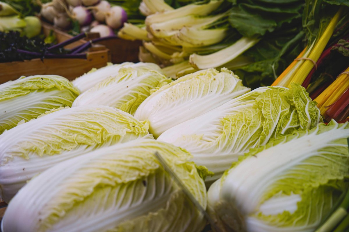 Нутрициолог Строков назвал 4 самых полезных продукта в мире